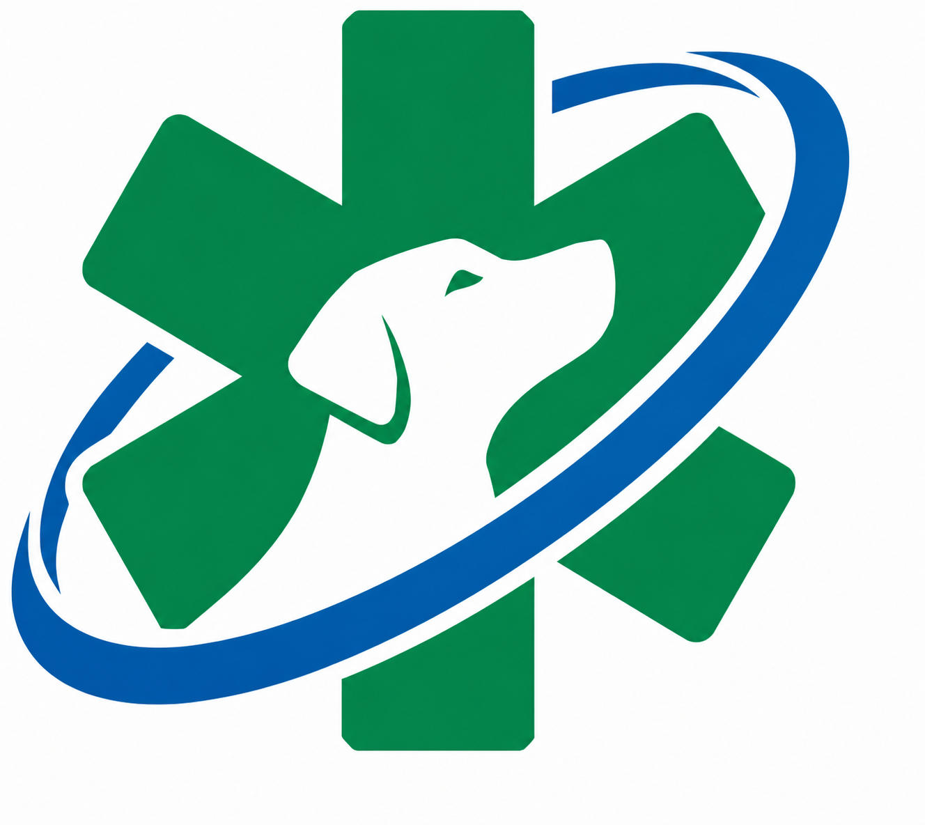 K-9 Safety